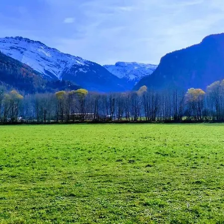 Le Grand Tetras * Samoëns